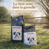 Croquettes chiens