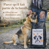 Croquettes chiens