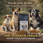 Croquettes chiens