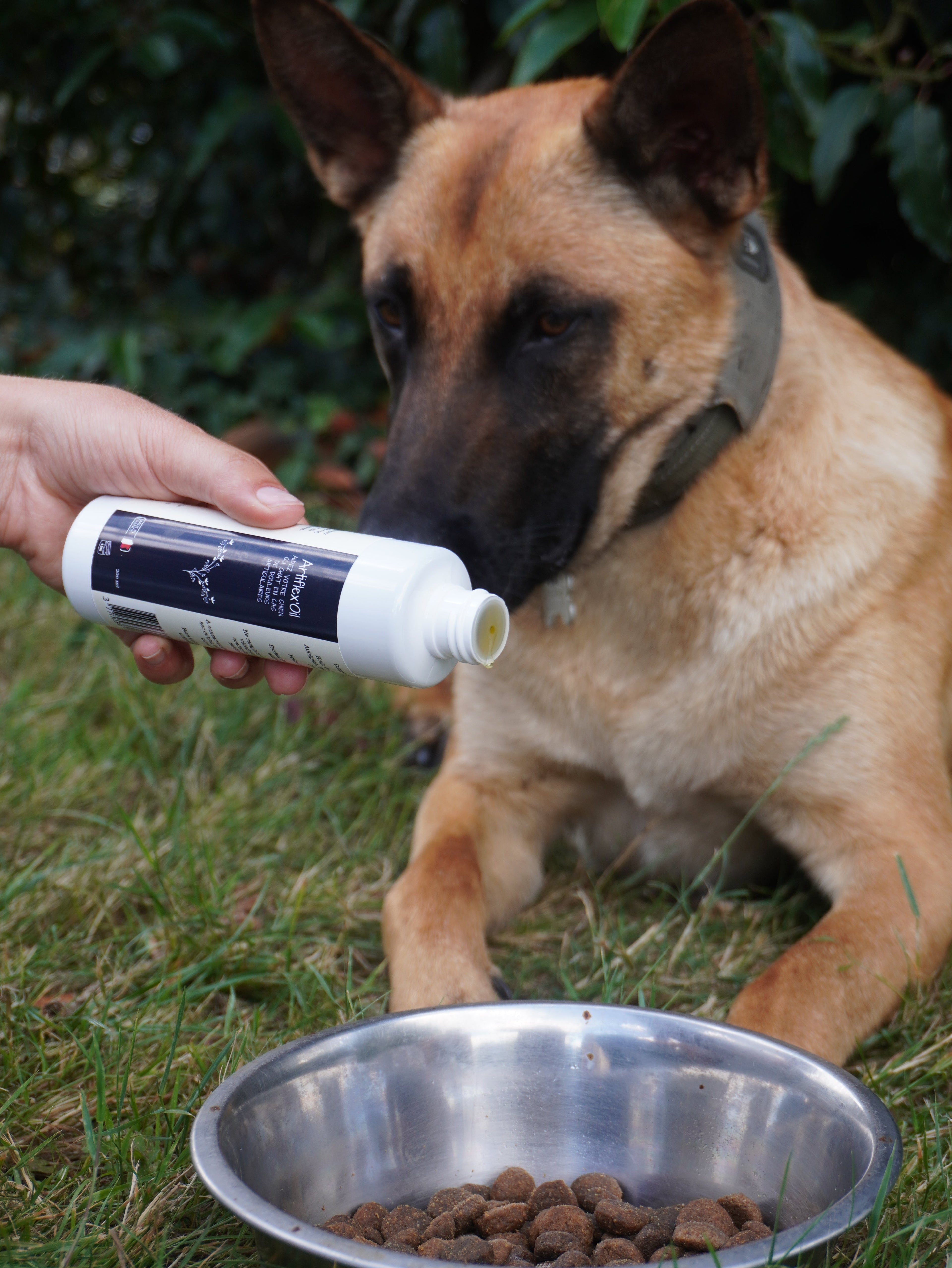 Artiflex'Oil - Chien Articulations Huile Confort | Santé Articulaire, versée sur croquettes pour chien adulte. Soutien naturel des articulations.