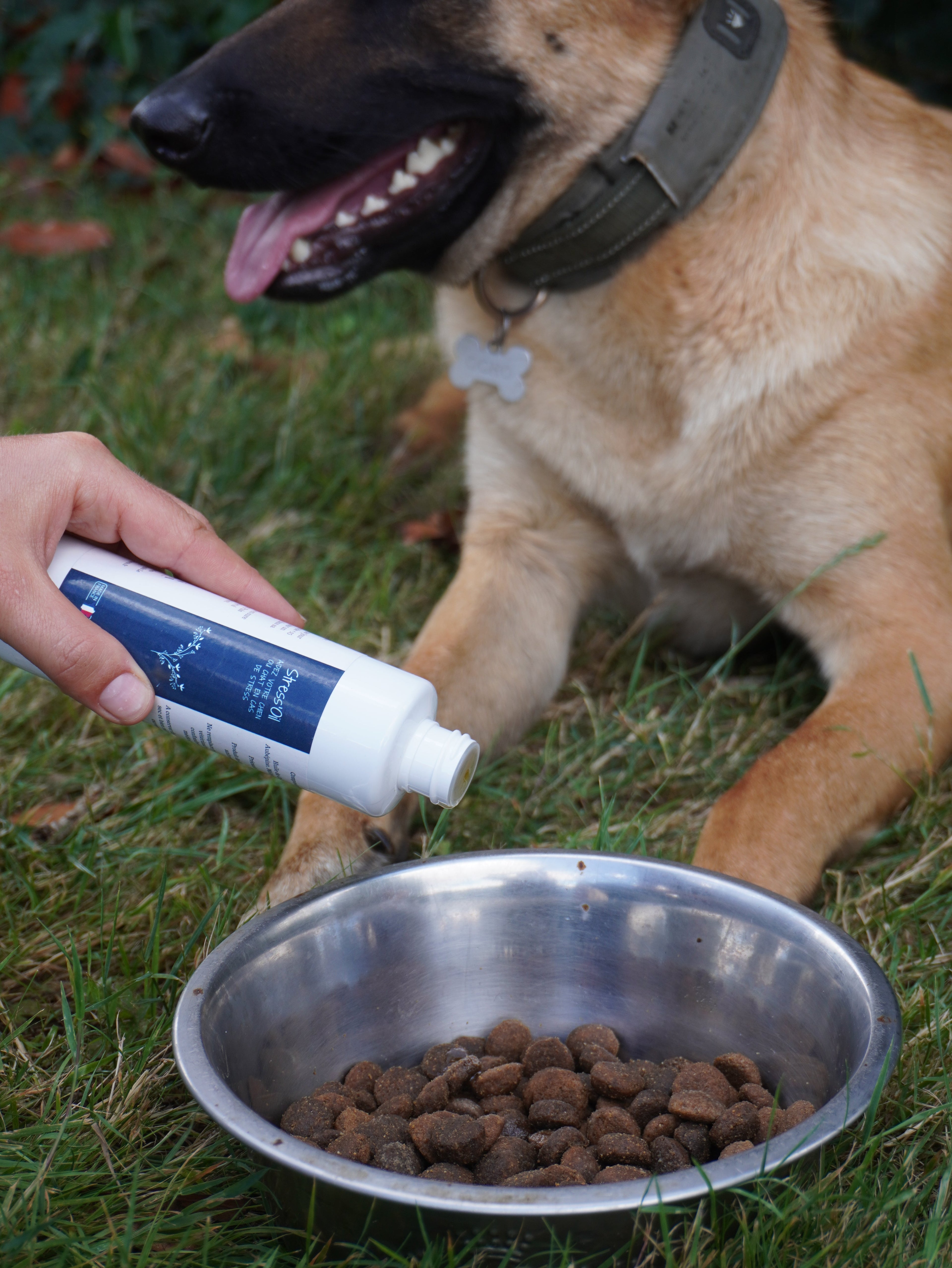Complément Calmant Naturel Chien Sérénité versé sur croquettes pour réduire stress digestif. Idéal pour chiens anxieux, favorise bien-être intestinal.