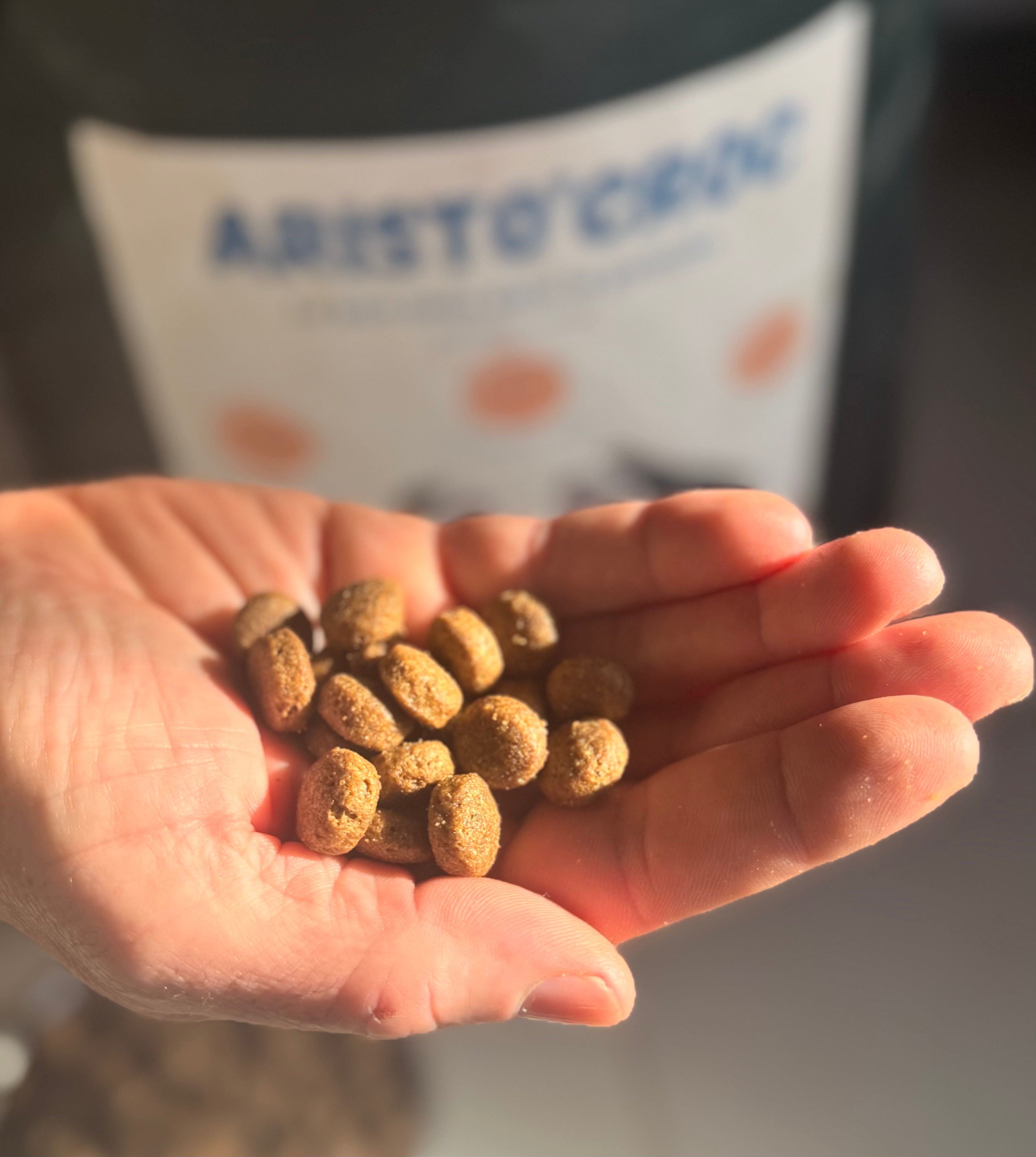 Croquettes au poulet pour chiens sensibles tenues dans une main, idéales pour la digestion et la peau, avec sac Aristo'Chic en arrière-plan.
