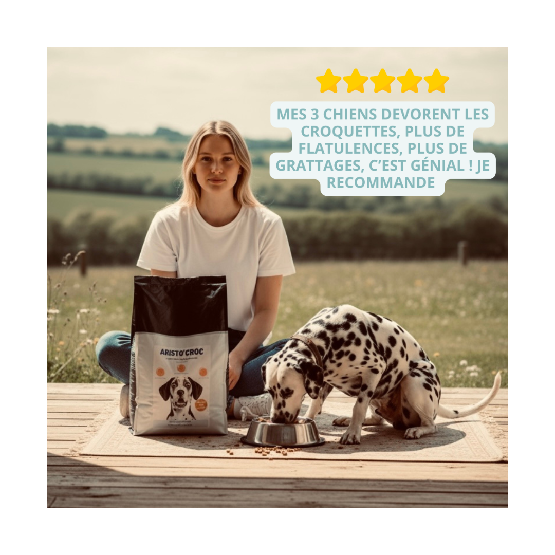 Croquettes pour seniors sensibles