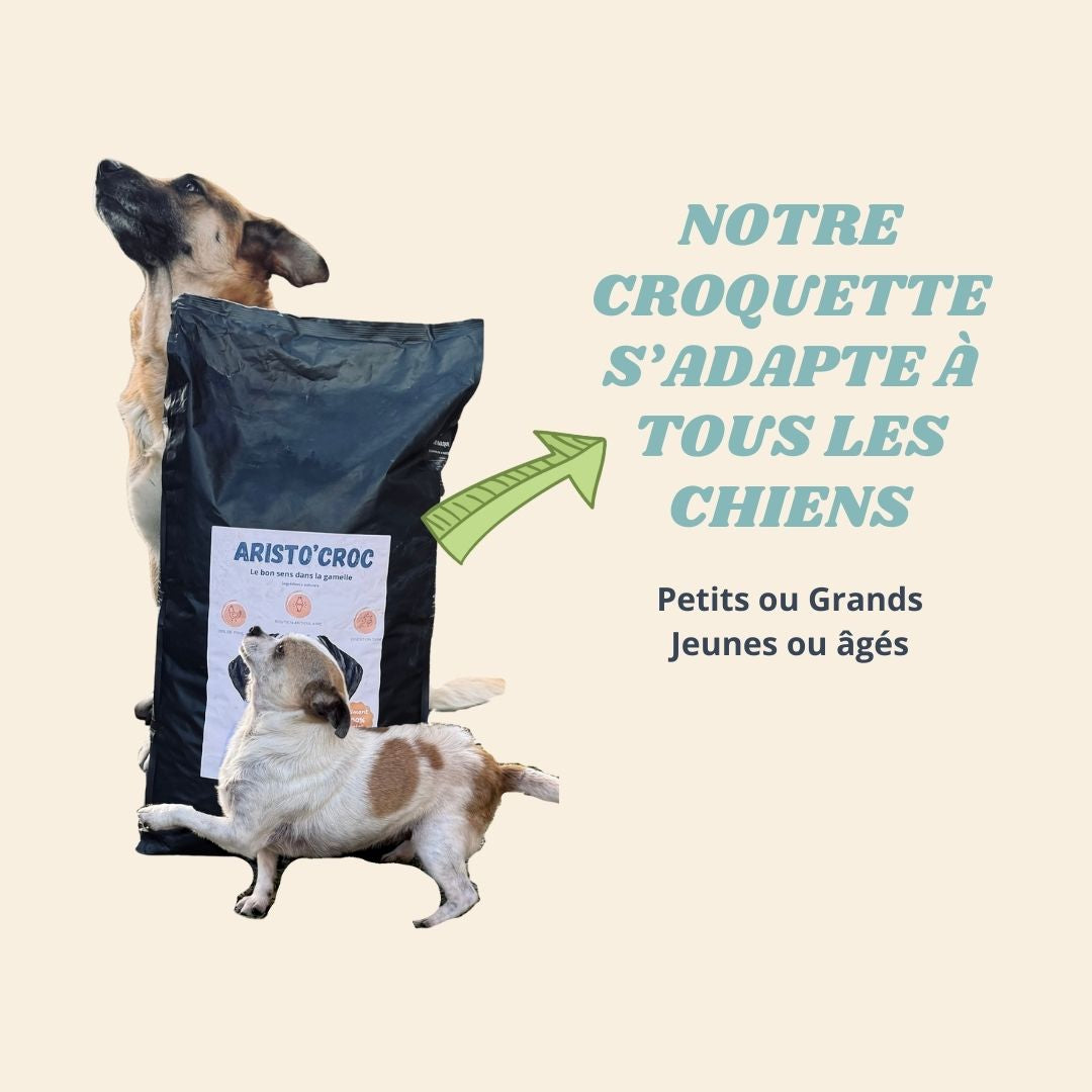 Croquettes pour chiots sensibles
