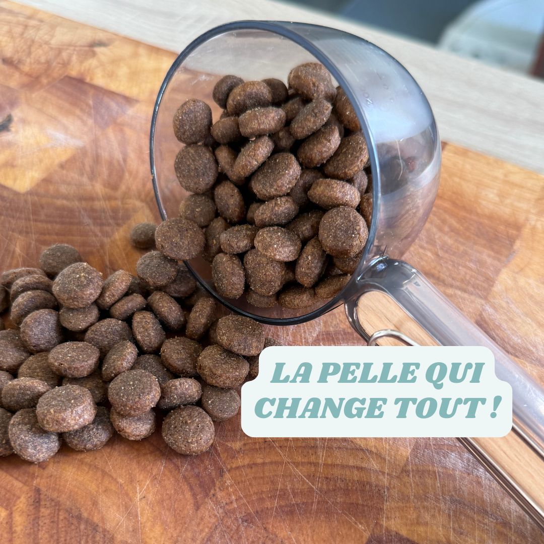 🐾 Pelle-Mesure Aristo’Croc • Dosage précis + pince de fermeture