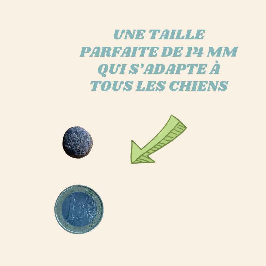 Croquettes pour chiots sensibles